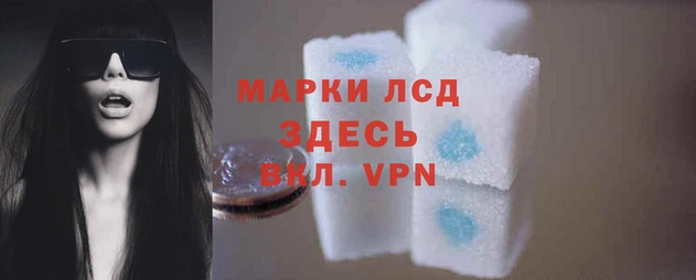 амф Володарск