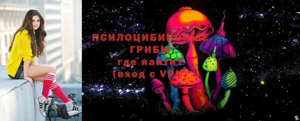 амф Володарск