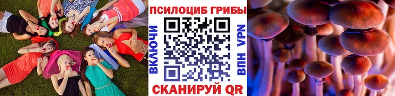 Купить  Павлово  Псилоцибиновые грибы Cubensis 